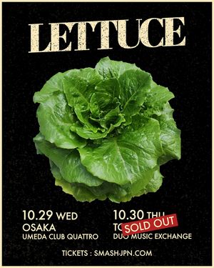 Image post by @lettucefunk on Instagram