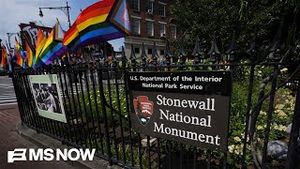 Video post by @msnbc on YouTube