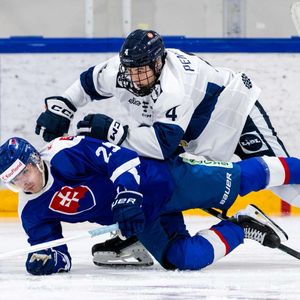 Image post by @leijonatfi on Instagram