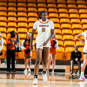 Image post by @gocamelswbb on Instagram