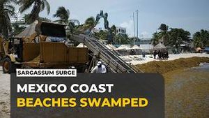 Video post by @Al Jazeera English on YouTube