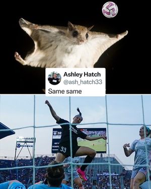 Image post by @justwsports on Twitter