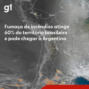 Image post by @operitoambiental on Instagram