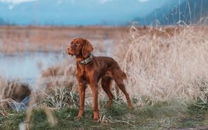Image post by @outdoor_life on Instagram