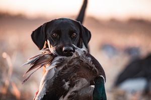 Image post by @gavin.fernholz on Instagram