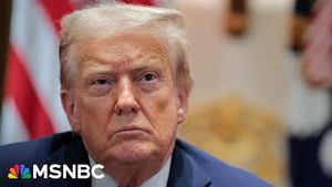 Video post by @msnbc on YouTube
