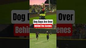 Video post by @theofficialfirefighters on YouTube