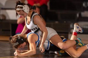 Image post by @shell_dog_photog on Instagram