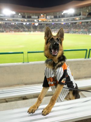 Image post by @clubnaranjeros on Instagram