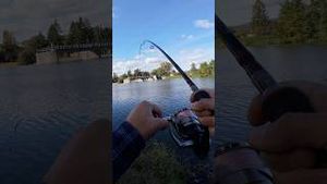 Video post by @jonasederfishing on YouTube