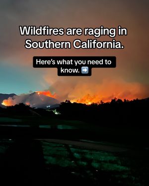 Image post by @americanredcross on Instagram