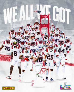 Image post by @patriots on Instagram