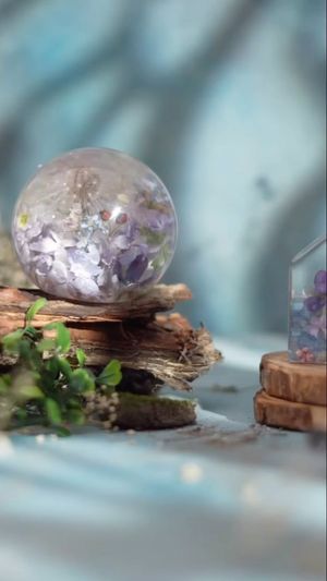 Video post by @leafyaffair on Instagram