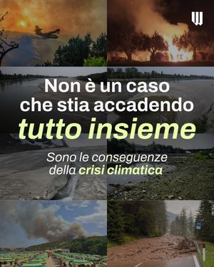 Image post by @will_ita on Instagram