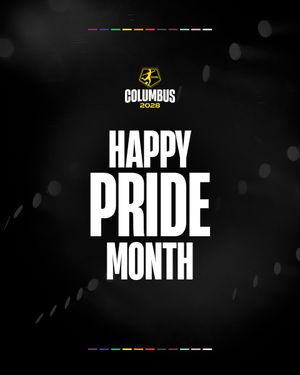 Image post by @columbusnwsl on Twitter