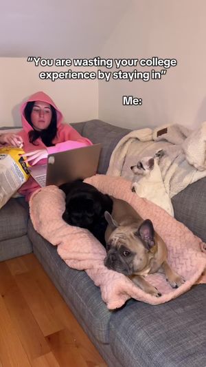 Video post by @josiestoffan on TikTok