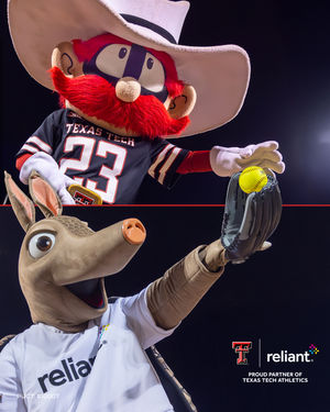 Image post by @reliantenergy on Instagram