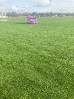 Image post by @NUWSoccer on Twitter