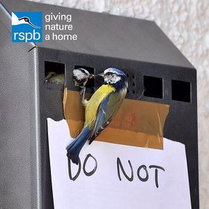 Image post by @rspb on Instagram