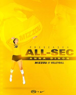 Image post by @MizzouVB on Twitter
