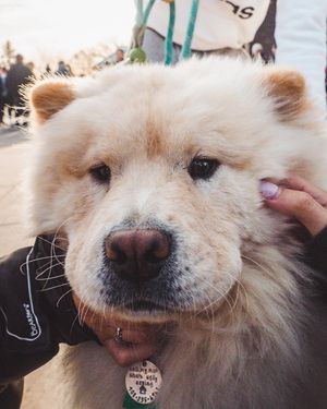 Image post by @rurec on Instagram