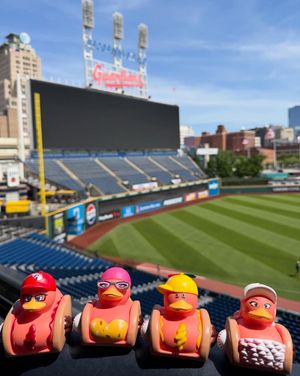 Image post by @clehotdogs on Instagram