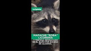 Video post by @laopinionla on YouTube
