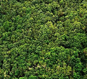 Image post by @worldscifest on Instagram