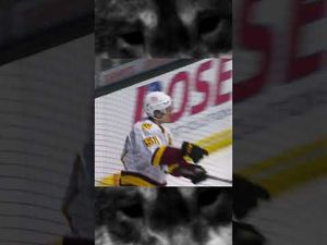 Video post by @ChicagoWolvesHockey on YouTube