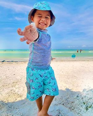 Image post by @visitsarasotacounty on Instagram