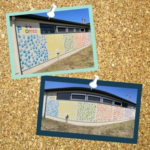 Image post by @carmelunifiedsd on Instagram