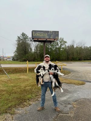 Image post by @muscadinebline on Instagram
