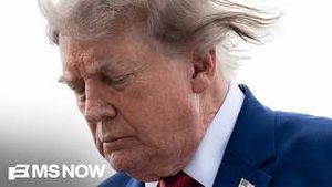 Video post by @msnbc on YouTube