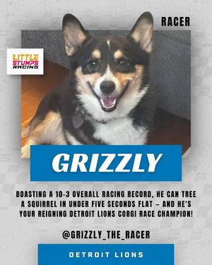 Image post by @littlestumpsracing1 on Facebook