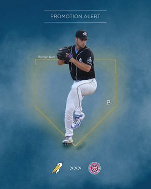 Image post by @pelicansbaseball on Instagram
