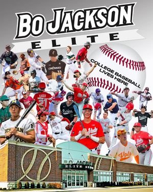 Image post by @bodomecbus on Instagram