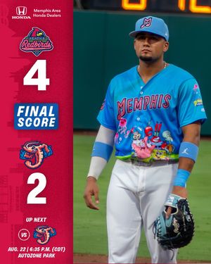Image post by @memphisredbirds on Instagram