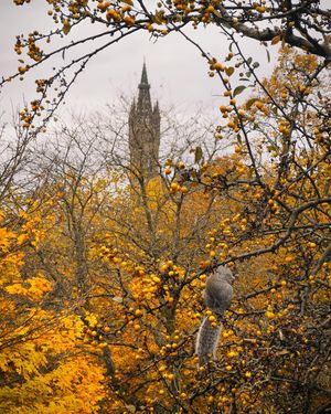 Image post by @uofglasgow on Instagram
