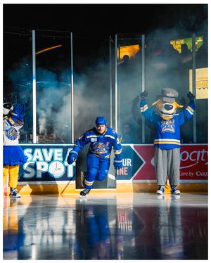 Image post by @blizzflicks on Instagram