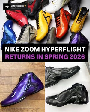 Image post by @soleretriever on Instagram