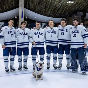 Image post by @yalemhockey on Instagram