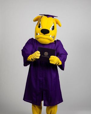 Image post by @westerniluniv on Instagram