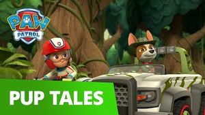 Video post by @pawpatrolofficial on YouTube