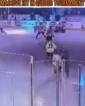 Image post by @hockeyfights on Instagram