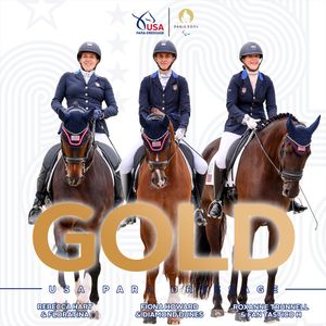 Image post by @USequestrian on Twitter
