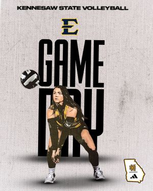 Image post by @ksuowlsvb on Instagram