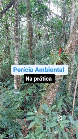 Video post by @operitoambiental on Instagram