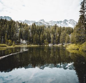 Image post by @drsquatch on Instagram