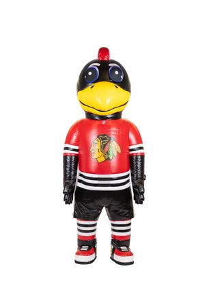 Video post by @nhlblackhawks on TikTok
