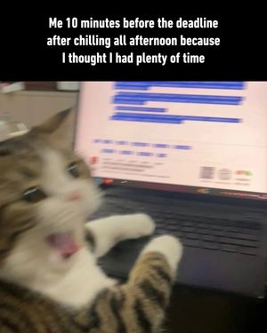 Image post by @9gag on Instagram